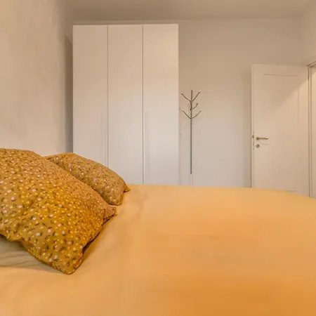 Domus Color *